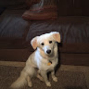 Meet your Posher, Diana